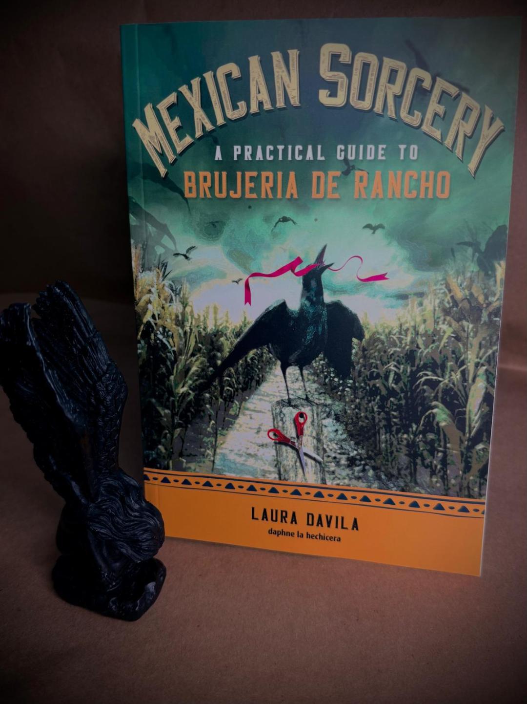 Books by Laura Davila