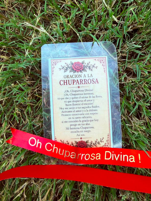 Chuparrosa Devotional Prayer Card – Handmade with Custom Ribbon