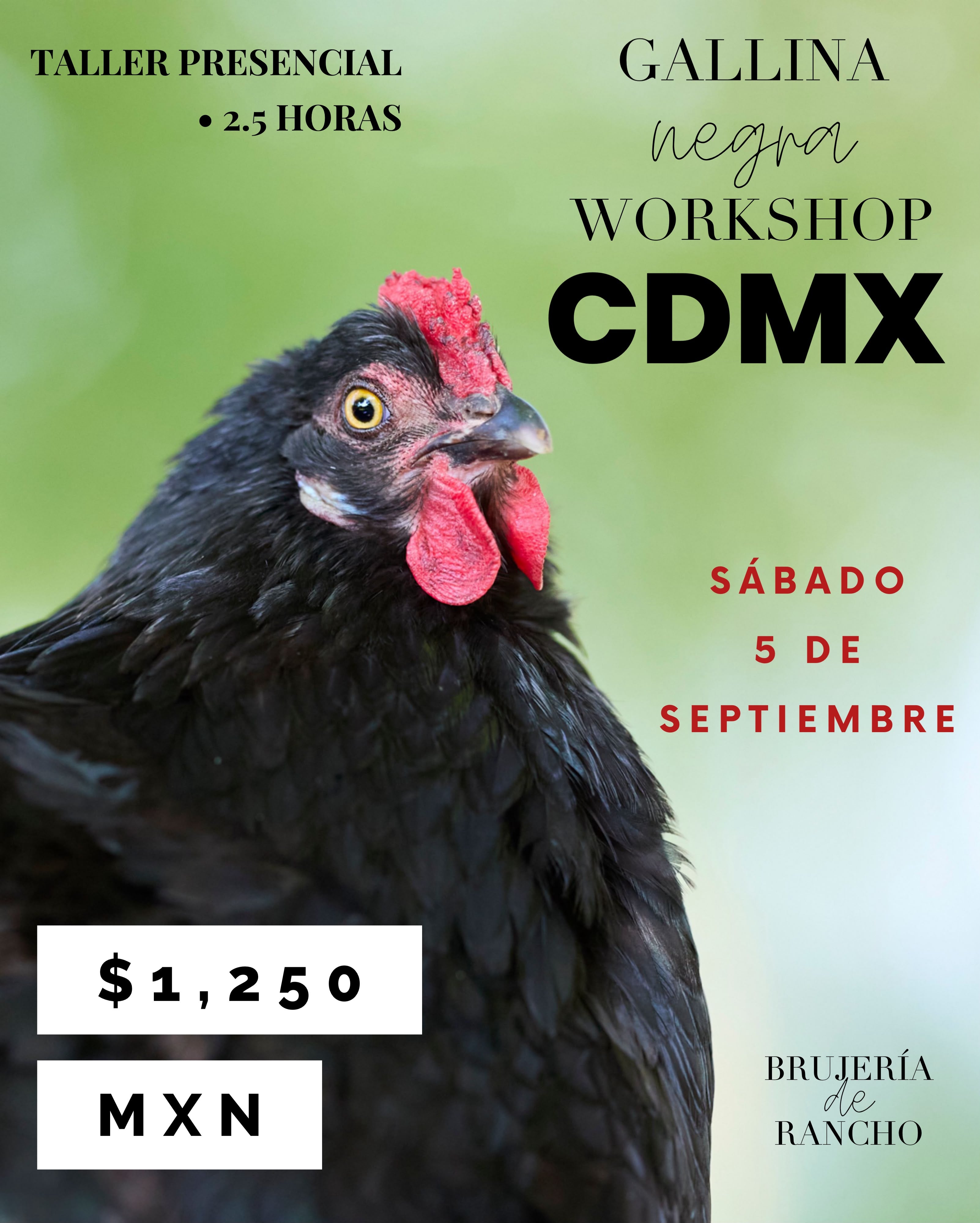Gallina Negra Workshop - CDMX - 5 de Septiembre